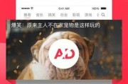 娱乐吃瓜酱蓝莓视频下载,娱乐吃瓜酱带你轻松获取热门娱乐内容