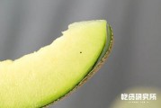 2022 娱乐吃瓜,年度吃瓜大事件盘点